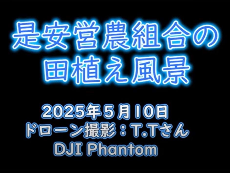 2025-05-11田植え風景 是安営農組合(撮影者はTさん)