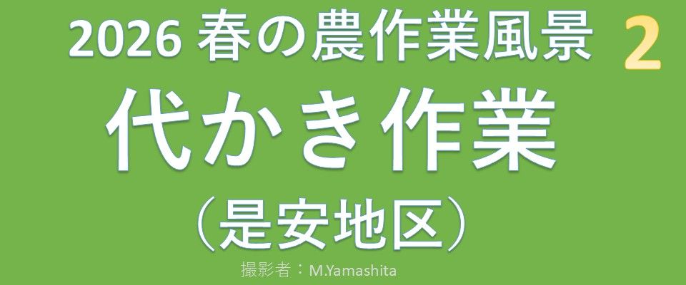 202605-2代かき作業-BGM-03m49s