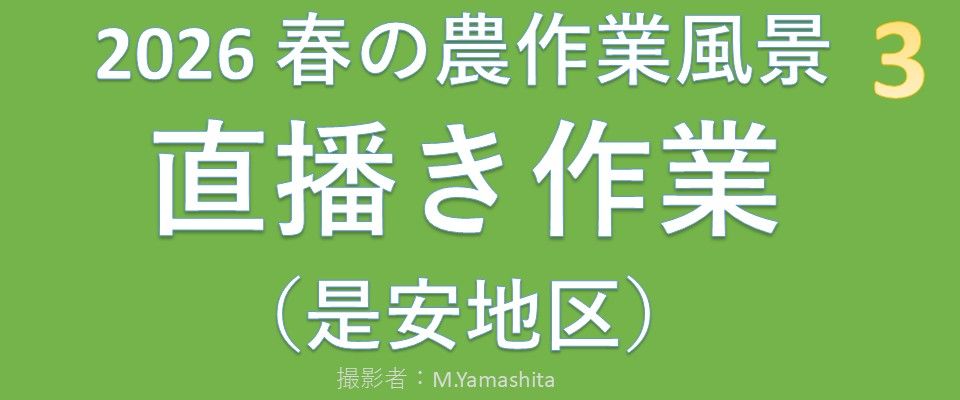 202605-3直播作業-BGM-04m09