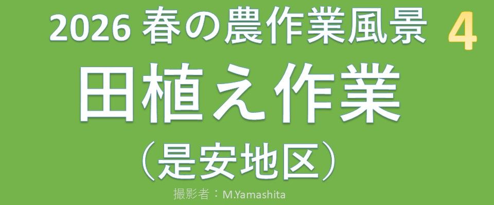 202605-4田植え作業-BGM-07m36s