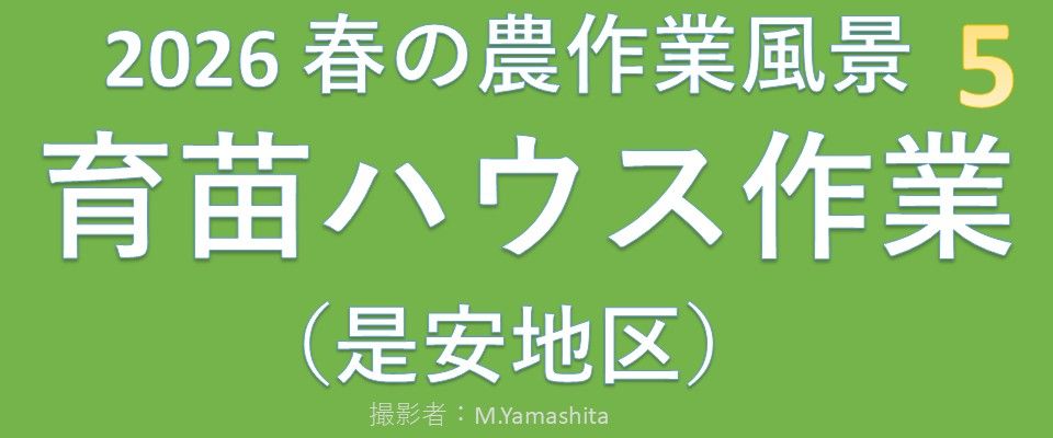 202605-5育苗ハウス作業-BGM-05m42