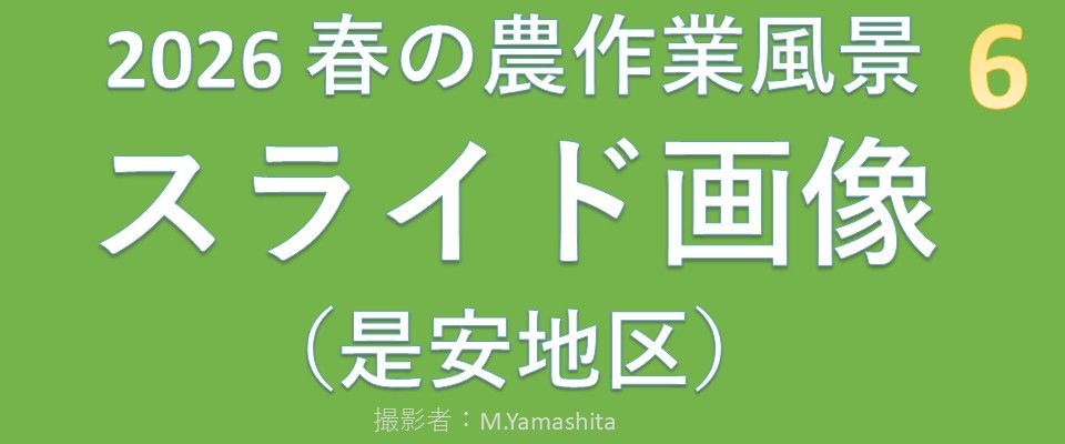 202605-6田植え画像スライド-BGM-03m52s